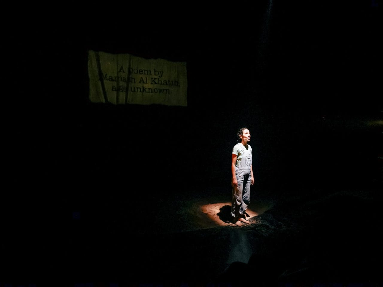 (c) Amir Hussain Ibrahimi