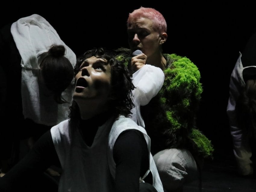 (c) Claire Shovelton