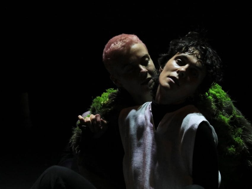 (c) Claire Shovelton