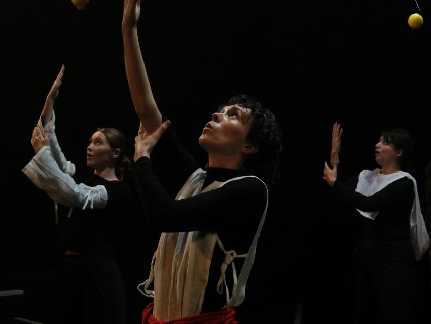 (c) Claire Shovelton